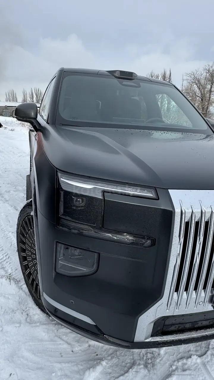 2025 года, КПП Автомат, 2 л.