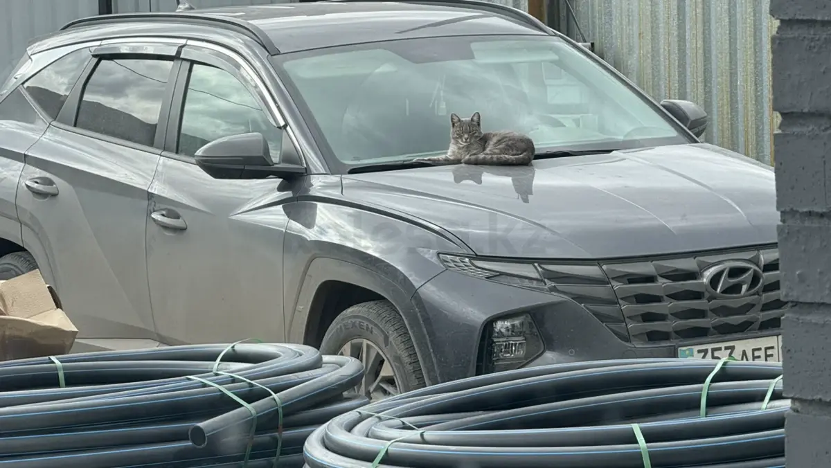 2023 года, КПП Автомат, 2 л.